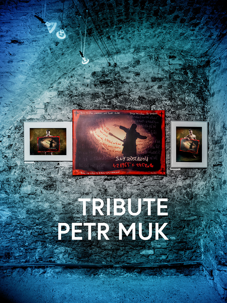 other_exhibition_art_retro_2020_tribute_petr_muk